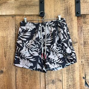 American Eagle Swim Trunks